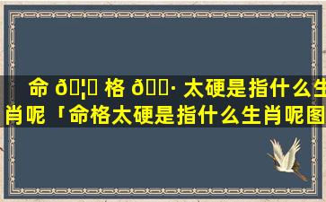 命 🦟 格 🌷 太硬是指什么生肖呢「命格太硬是指什么生肖呢图片」